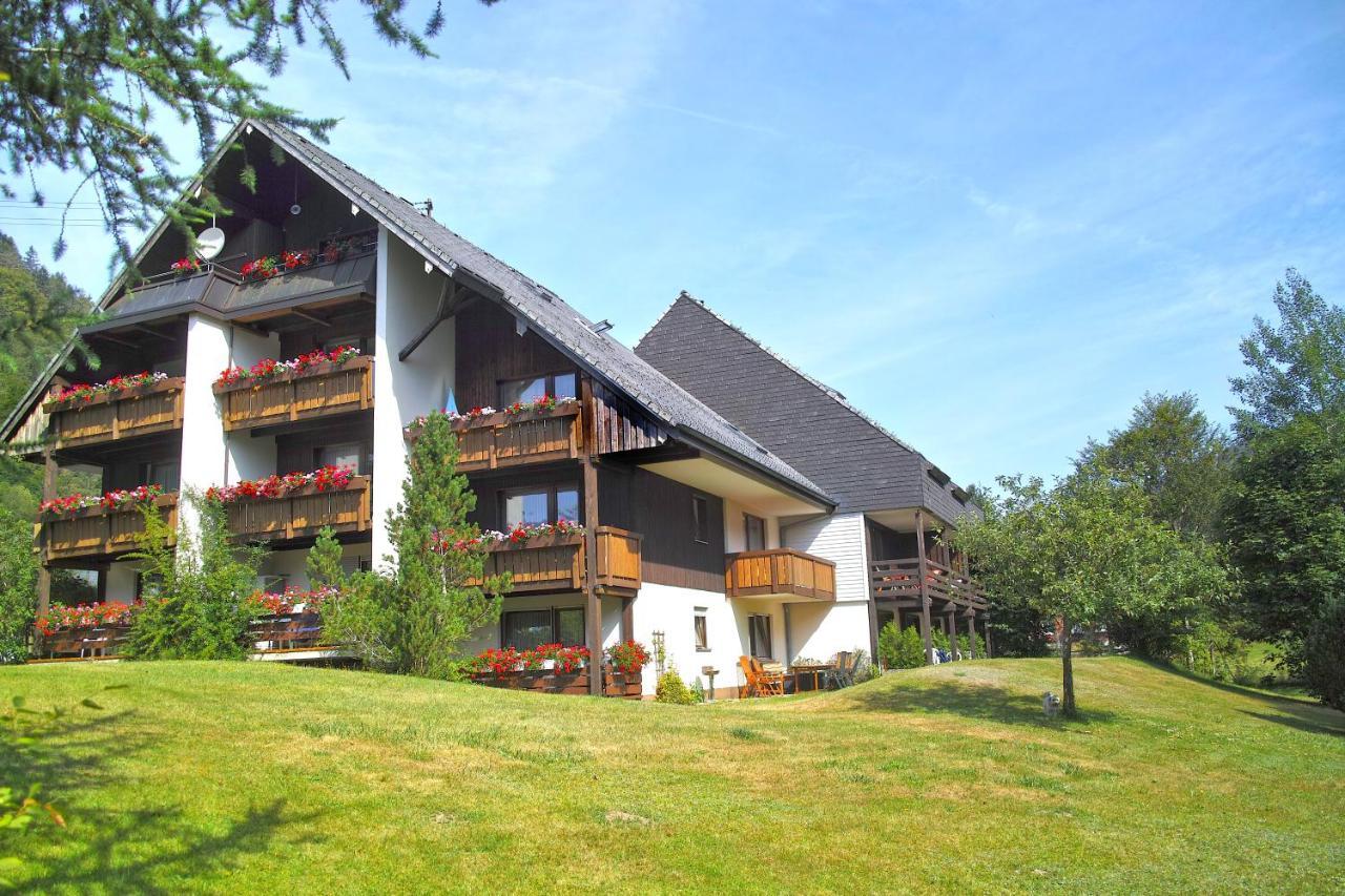 C3 Albmatte-Fewo Sauna, Hallenbad Aussenbecken Massagen Nebenan St. Blasien Bagian luar foto
