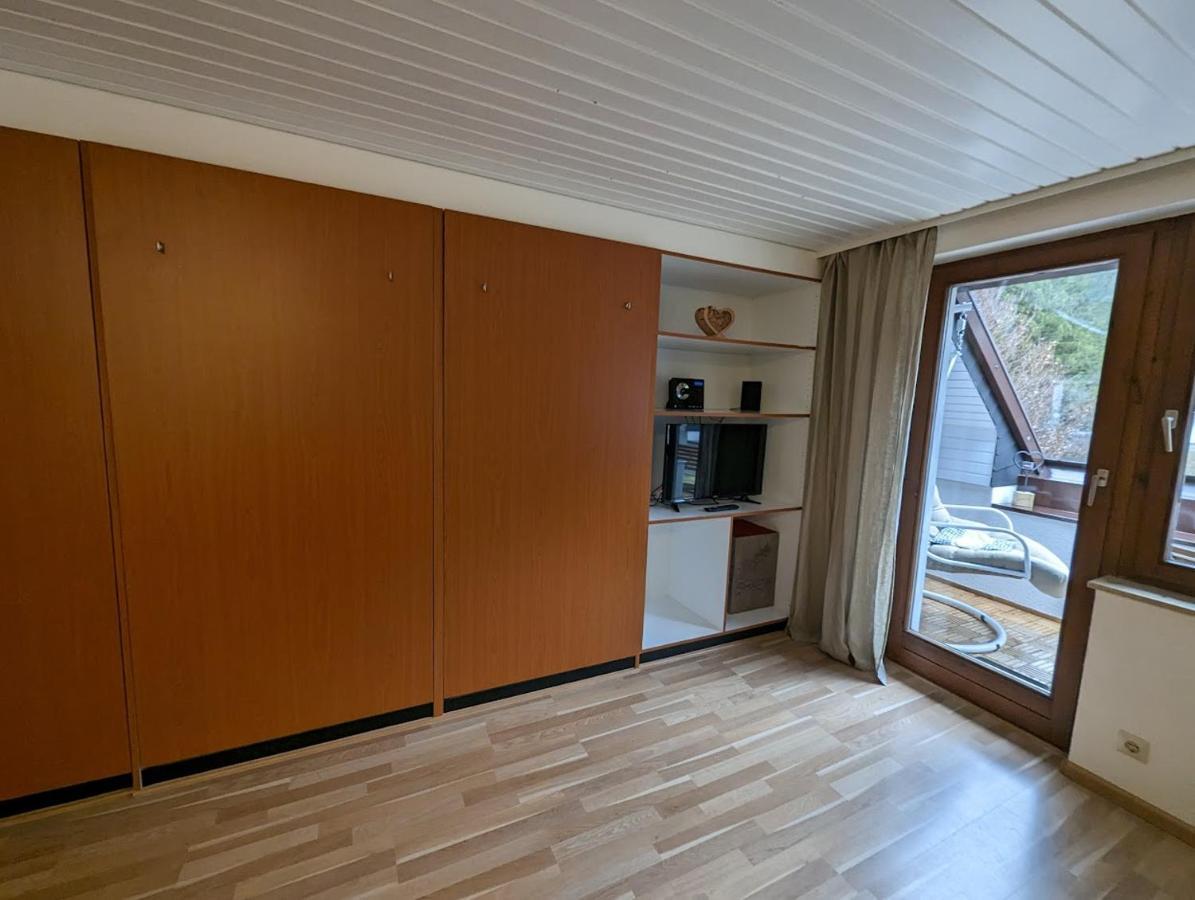 C3 Albmatte-Fewo Sauna, Hallenbad Aussenbecken Massagen Nebenan St. Blasien Bagian luar foto