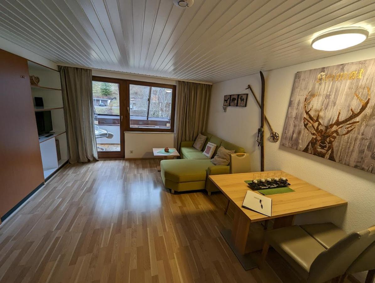 C3 Albmatte-Fewo Sauna, Hallenbad Aussenbecken Massagen Nebenan St. Blasien Bagian luar foto