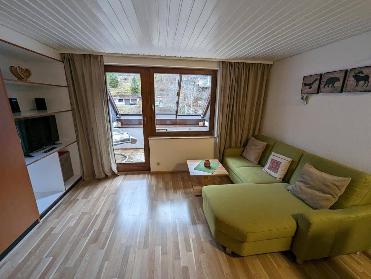 C3 Albmatte-Fewo Sauna, Hallenbad Aussenbecken Massagen Nebenan St. Blasien Bagian luar foto
