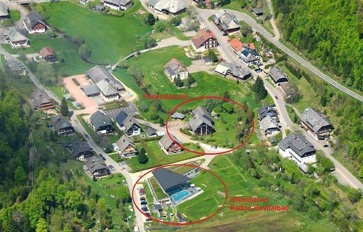 C3 Albmatte-Fewo Sauna, Hallenbad Aussenbecken Massagen Nebenan St. Blasien Bagian luar foto