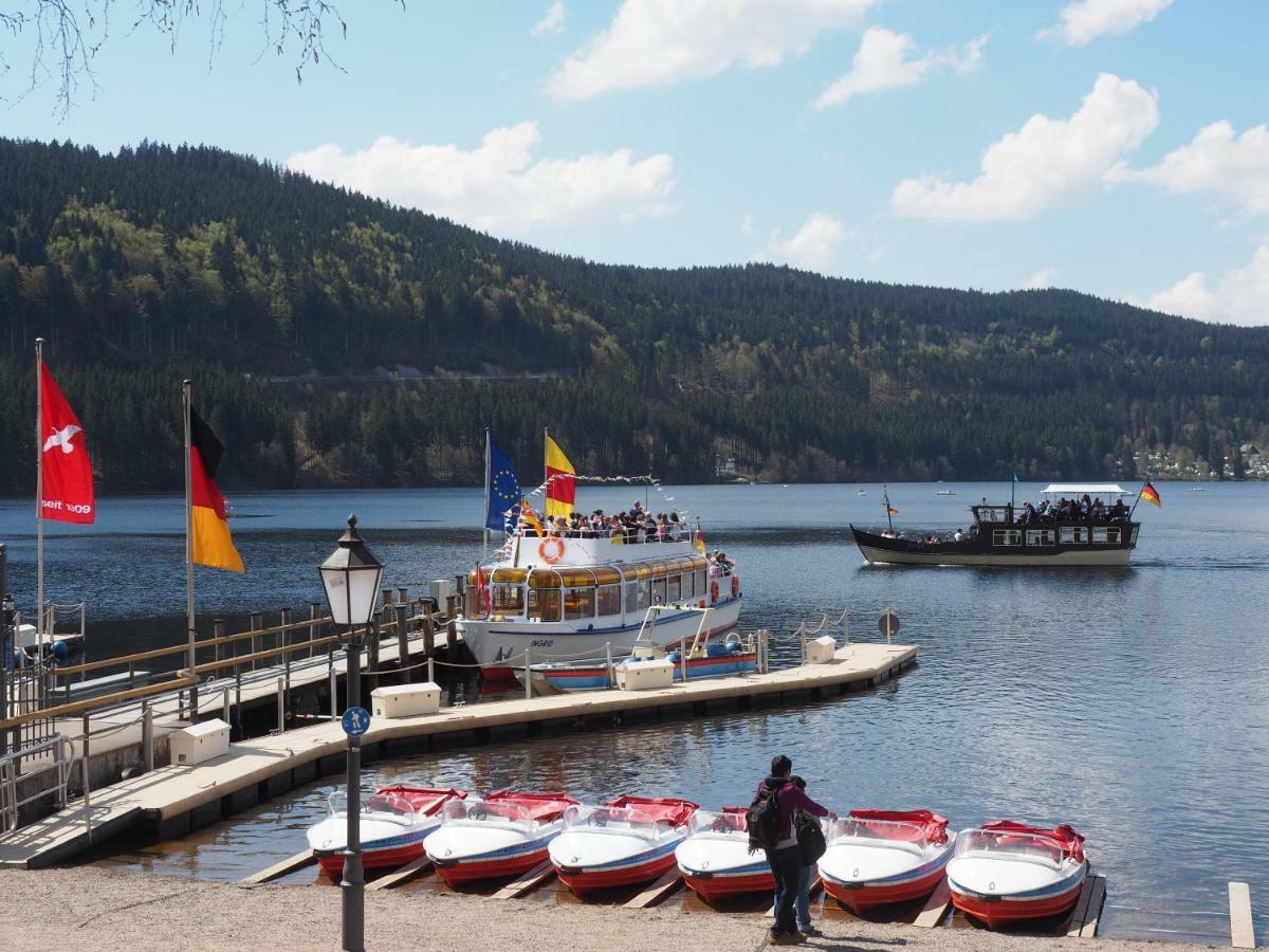 C3 Albmatte-Fewo Sauna, Hallenbad Aussenbecken Massagen Nebenan St. Blasien Bagian luar foto