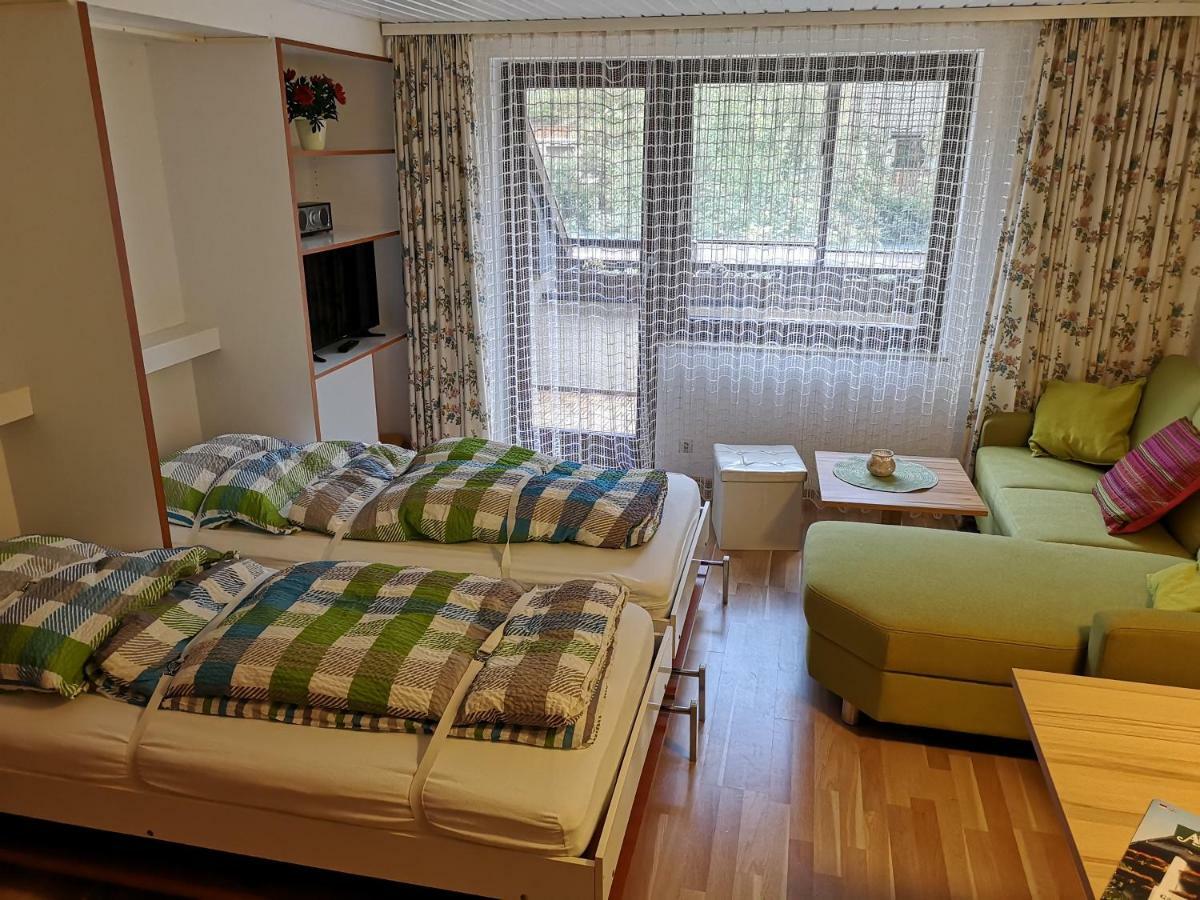 C3 Albmatte-Fewo Sauna, Hallenbad Aussenbecken Massagen Nebenan St. Blasien Bagian luar foto
