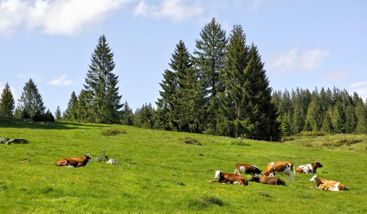C3 Albmatte-Fewo Sauna, Hallenbad Aussenbecken Massagen Nebenan St. Blasien Bagian luar foto