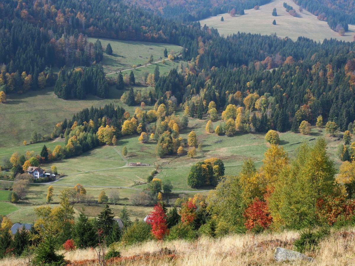 C3 Albmatte-Fewo Sauna, Hallenbad Aussenbecken Massagen Nebenan St. Blasien Bagian luar foto