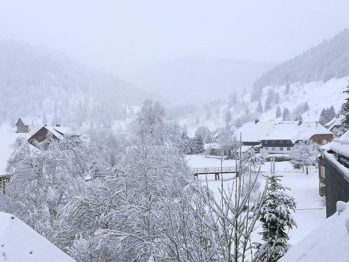 C3 Albmatte-Fewo Sauna, Hallenbad Aussenbecken Massagen Nebenan St. Blasien Bagian luar foto