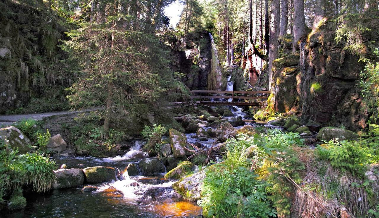 C3 Albmatte-Fewo Sauna, Hallenbad Aussenbecken Massagen Nebenan St. Blasien Bagian luar foto