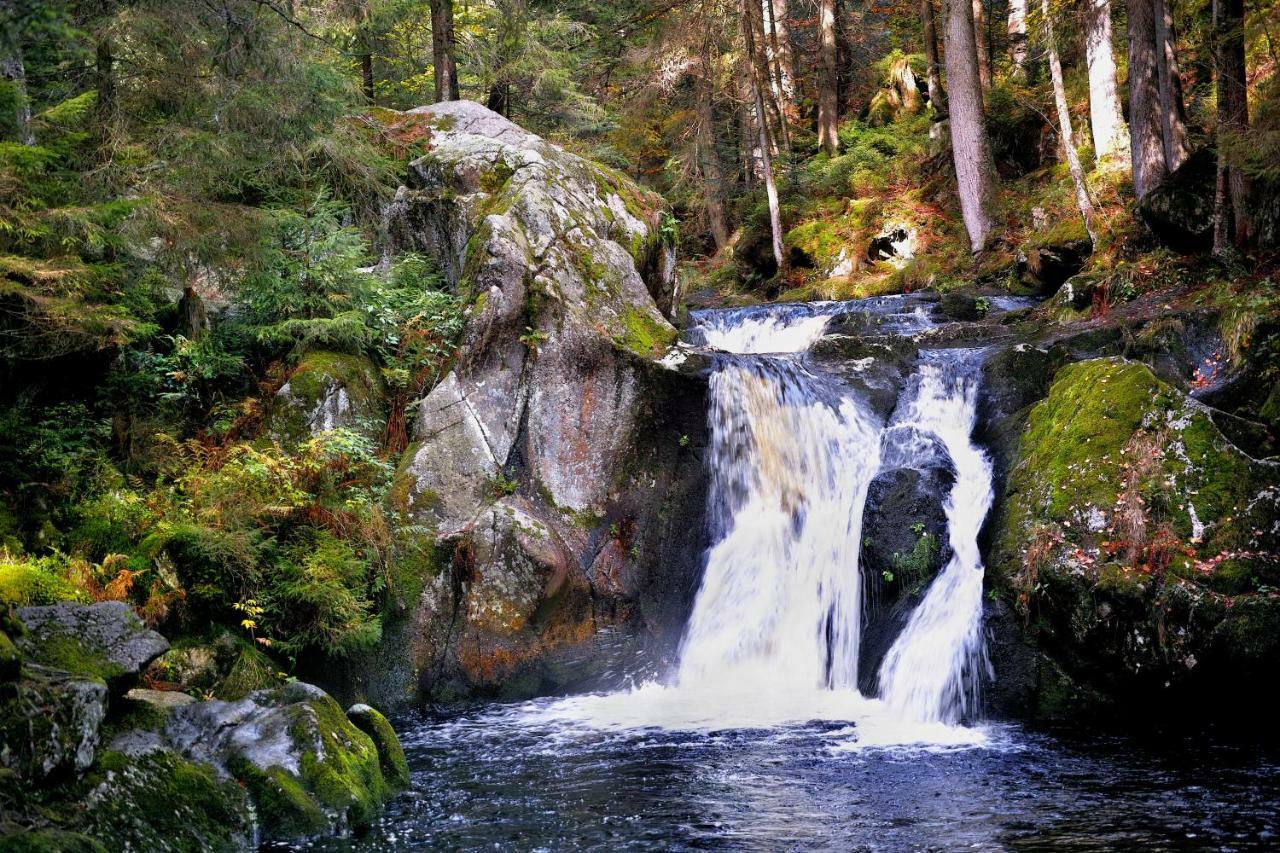 C3 Albmatte-Fewo Sauna, Hallenbad Aussenbecken Massagen Nebenan St. Blasien Bagian luar foto