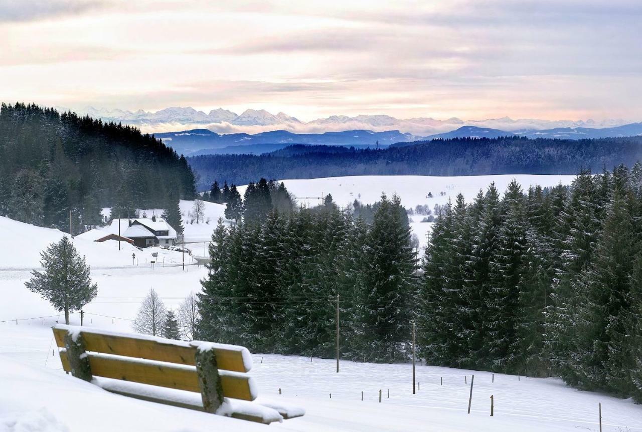 C3 Albmatte-Fewo Sauna, Hallenbad Aussenbecken Massagen Nebenan St. Blasien Bagian luar foto