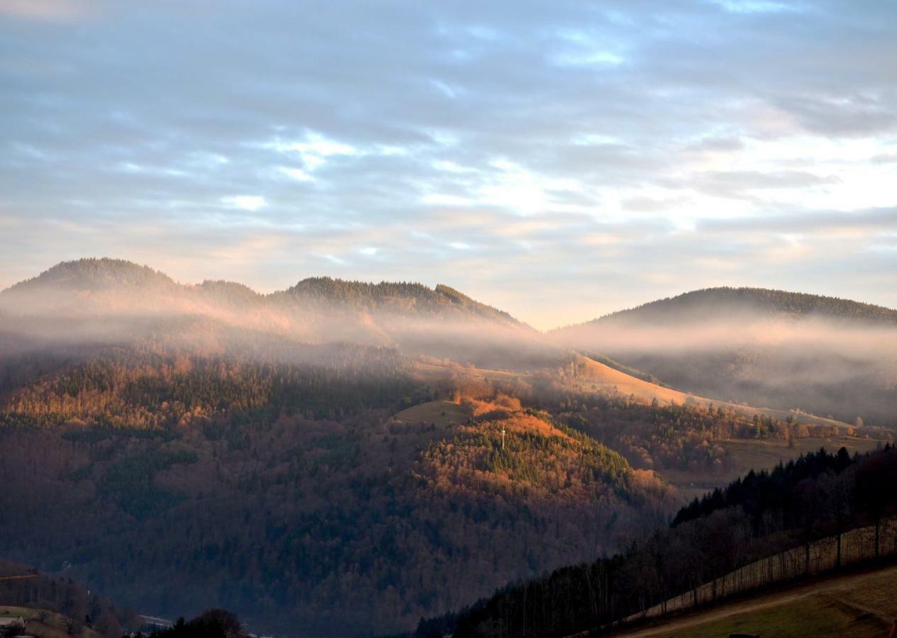 C3 Albmatte-Fewo Sauna, Hallenbad Aussenbecken Massagen Nebenan St. Blasien Bagian luar foto