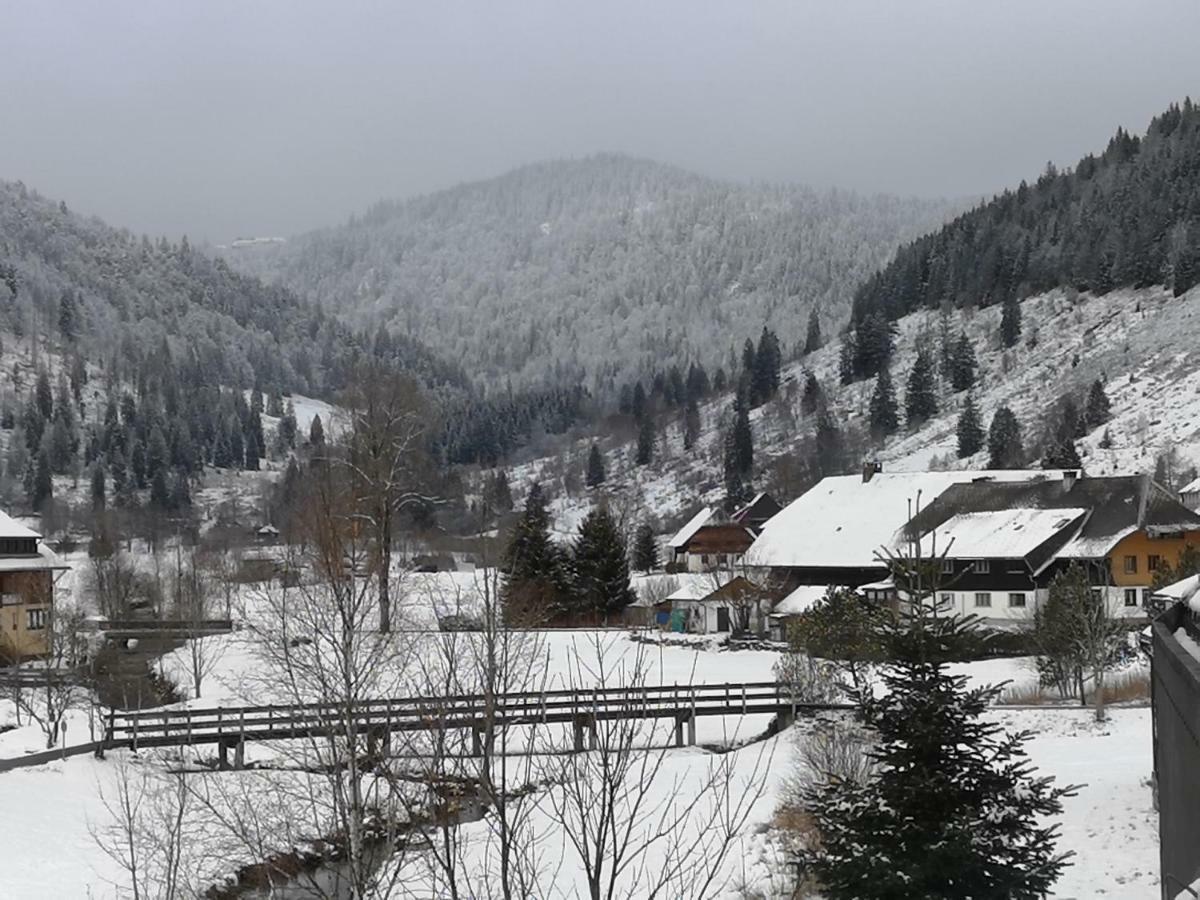 C3 Albmatte-Fewo Sauna, Hallenbad Aussenbecken Massagen Nebenan St. Blasien Bagian luar foto