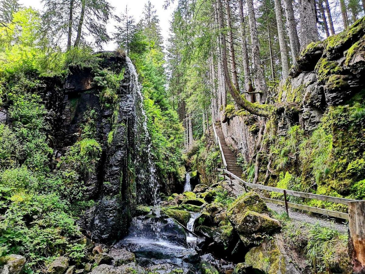 C3 Albmatte-Fewo Sauna, Hallenbad Aussenbecken Massagen Nebenan St. Blasien Bagian luar foto