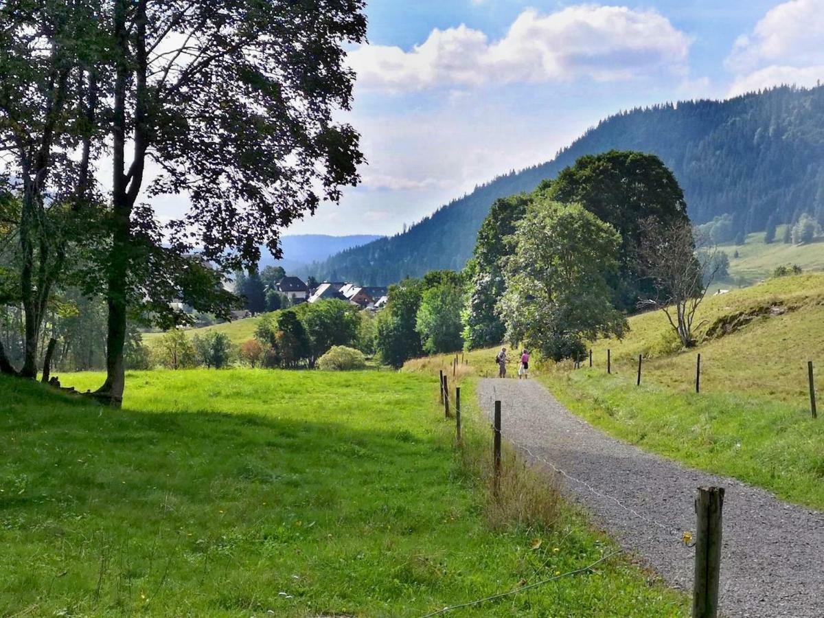C3 Albmatte-Fewo Sauna, Hallenbad Aussenbecken Massagen Nebenan St. Blasien Bagian luar foto