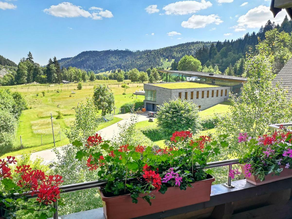 C3 Albmatte-Fewo Sauna, Hallenbad Aussenbecken Massagen Nebenan St. Blasien Bagian luar foto