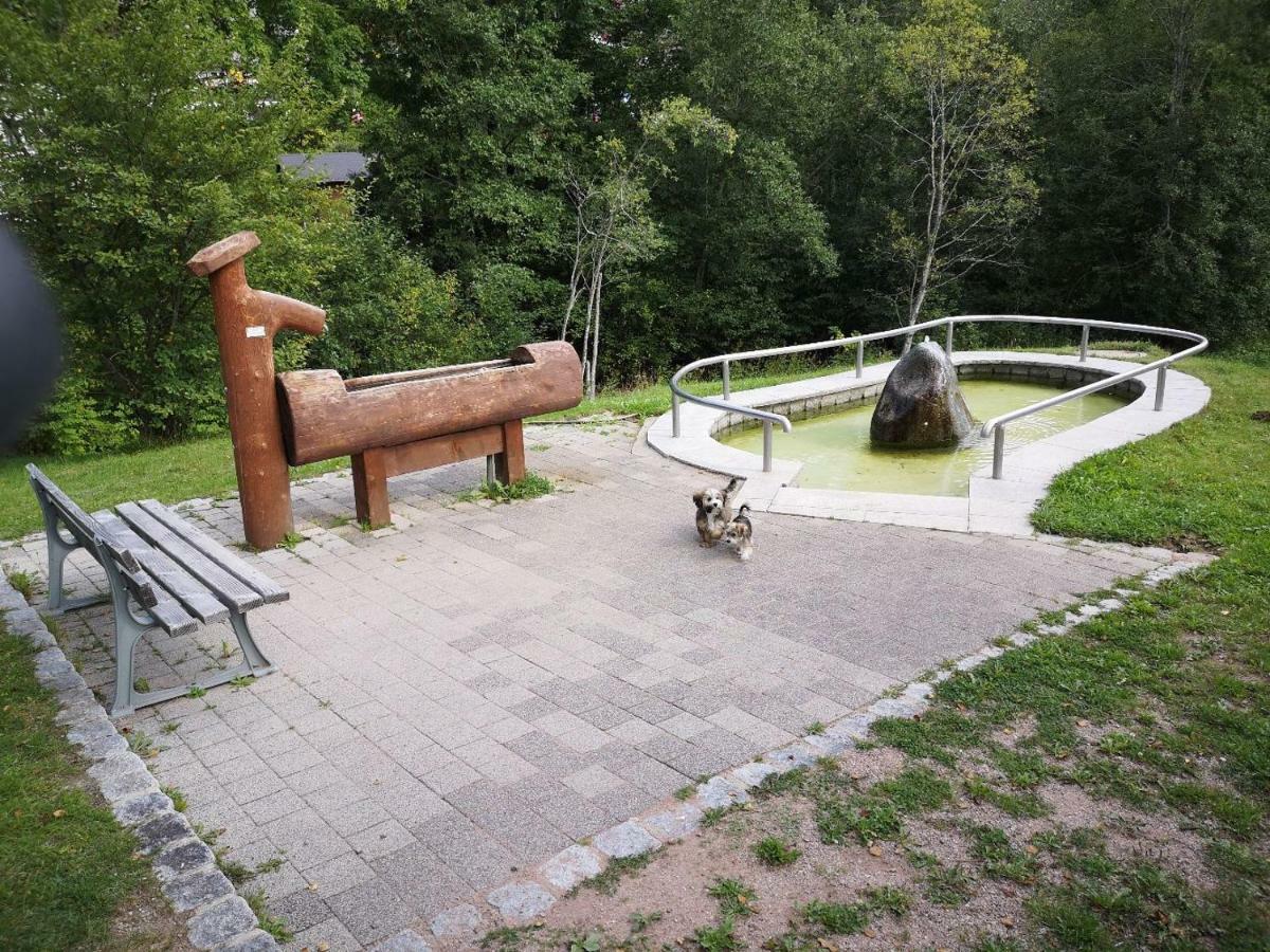 C3 Albmatte-Fewo Sauna, Hallenbad Aussenbecken Massagen Nebenan St. Blasien Bagian luar foto