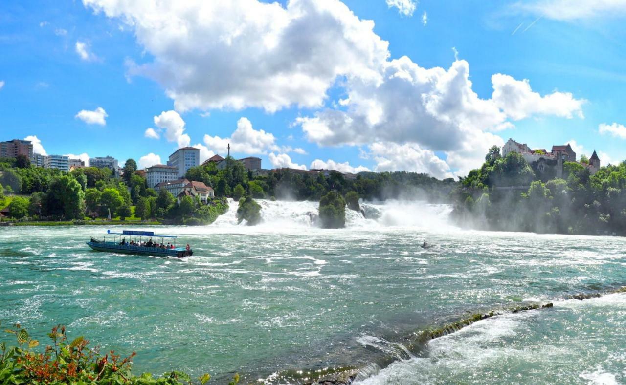 C3 Albmatte-Fewo Sauna, Hallenbad Aussenbecken Massagen Nebenan St. Blasien Bagian luar foto